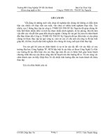 báo cáo thực tập công ty TNHH sản xuất thương mại dịch vụ kỷ nguyên