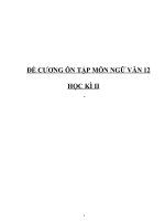 Đề cương ôn tập văn 12- HKII