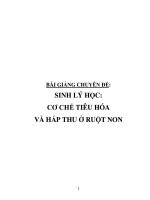 SINH LÝ HỌC: CƠ CHẾ TIÊU HÓA VÀ HẤP THU Ở RUỘT NON