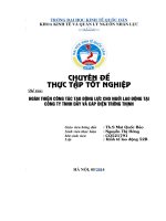 Hoàn thiện công tác tạo động lực cho người lao động tại Công ty TNHH Dây và cáp điện Trường Thịnh