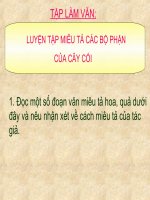 TLV: LT MIÊU TA C BÔ PHAN CUA CCOI
