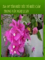 Tiết 108 Tìm hiểu các yéu tố biểu cảm trong văn nghị luận