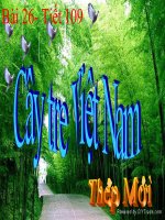 bai 26 cay tre viet nam