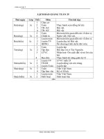 GIÁO ÁN TUẦN 25 LỚP 3