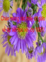 Chuyện Chức Phán Sự Đền Tản Viên