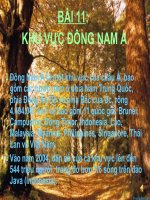 đông nam á.tiết 1