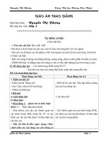 TNXH lớp 3 bài: Côn trùng