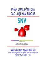 phân loại đánh giá các loại hầm biogas