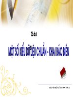 Mot so kieu du lieu khai bao bien