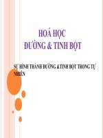 Bài giảng về hóa học đường và tinh bột   phần i