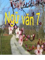 tiết 93. đức tinh giản dị của bác hồ