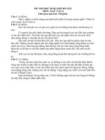 Đề thi HSG huyện. Văn 8