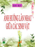 Ảnh hưởng lẫn nhau giữa các sinh vãt