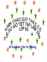 TLV lap chuong trinh hoat dong tuan 23