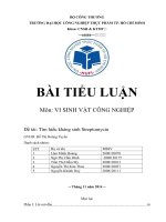 tiểu luận vi sinh vật công nghiệp đề tài tìm hiểu kháng sinh streptomycin