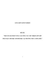 SKKN một số giải pháp nâng cao công tác chủ nhiệm lớp góp phần hạn chế học sinh bỏ học tại Trường THCS 1 Sông Đốc