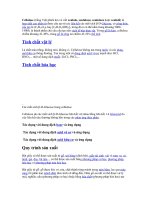 Tìm hiểu về cellulose