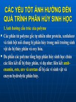 CÁC yếu tốt ẢNH HƯỞNG đến QUÁ TRÌNH PHÂN hủy SINH học