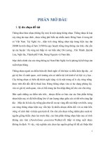 đề tài chăm sóc bảo vệ và đề xuất biện pháp quản lý rừng thông khai thác nhựa (thông lấy mủ) theo  hướng bền vững tại huyện nam đàn nghệ an