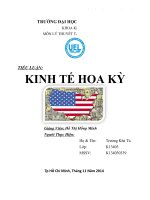 tiểu luận kinh tế hoa kỳ