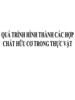 Hóa học và công nghệ các hợp chất hữu cơ thiên nhiên   phần III   qúa trình hình thành các hợp chất hữu cơ trong thực vật