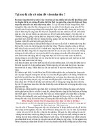 Tại sao lá cây có màu đỏ vào mùa thu ?