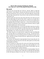 sáng kiến kinh nghiệm Thực trạng dạy bồi dưỡng học sinh giỏi môn tiếng việt & một số biện pháp bồi dưỡng cho học sinh.