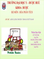 tiểu luận bộ môn hóa phân tích chủ đề định lượng protein trong huyết thanh