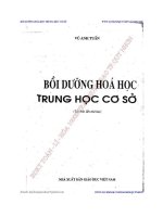 Bồi Dưỡng Hóa Học Trung Học Cơ Sở Tác giả  Vũ Anh Tuấn