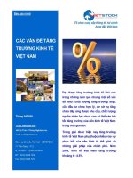 Các vấn đề tăng trưởng kinh tế Việt Nam