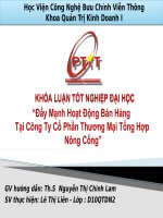“Đẩy mạnh hoạt động bán hàng tại công ty cổ phần thương mại tổng hợp nông cống”