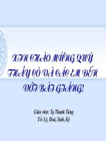 SỰ NHÂN LÊN CỦA VIRUS TRONG TẾ BÀO VẬT CHỦ