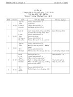 G.A 4 TUẦN 10 (CKTNN-KNS-BVMT)