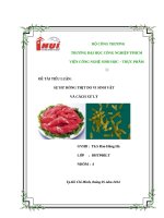 SỰ HƯ HỎNG THỊT DO VI SINH VẬT VÀ CÁCH XỬ LÝ