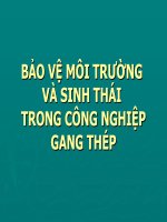 báo cáo bảo vệ môi trường và sinh thái trong công nghiệp gang thép