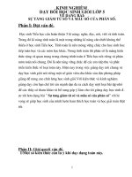 KINH NGHIỆM DẠY BỒI HỌC SINH GIỎI LỚP 5 VỀ DẠNG BÀI SỰ TĂNG GIẢM TỬ SỐ VÀ MẪU SỐ CỦA PHÂN SỐ