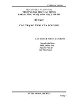 Đề tài 5   các TRẠNG THÁI của POLYME