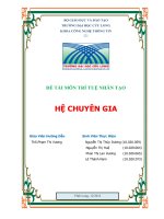 Đồ án môn trí tuệ nhân tạo hệ chuyên gia