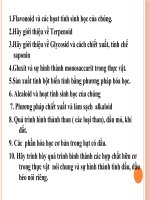 Câu hỏi ôn tập về hóa học hợp chất thiên  nhiên