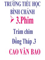 Phim Tràm chi Đồng tháp -3