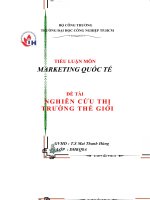tiểu luận marketing quốc tế đề tài nghiên cứu thị trường thế giới