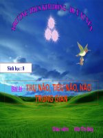 Trụ não-Não giữa- Não trung gian (hot)