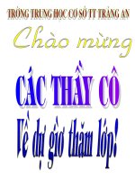 Tiết 45: Đặc điểm chung và đa dạng của lớp chim