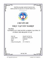 Tạo động lực cho người lao động tại Công ty Cổ phần Tiến bộ Quốc tế AIC