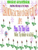 tự nhiên và xã hội: bài 47 Hoa