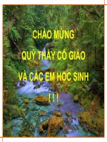 Tiết 48: Bài 46: Thỏ