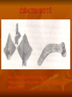 Bài 12: nước Văn Lang