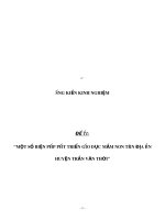 SKKN một số biện pháp phát triển giáo dục mầm non trên địa bàn huyện Trần Văn Thời