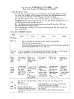 Chu de thuc vat ( CD nhanh mot so loai rau)