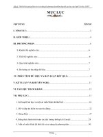 Thiết kế bài giảng điện tử có sử dụng đa phương tiện nhằm tăng kết quả học tập Nghề Tin Học THPT